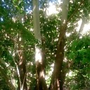 Знакомства: Sergio, 41 год, Ашхабад