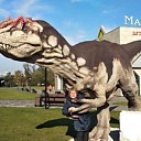 Знакомства: Елена, 62 года, Белгород